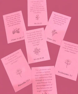 Hộp 96 câu Kinh Thánh dành cho người nữ