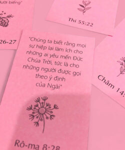 Hộp 96 câu Kinh Thánh dành cho người nữ