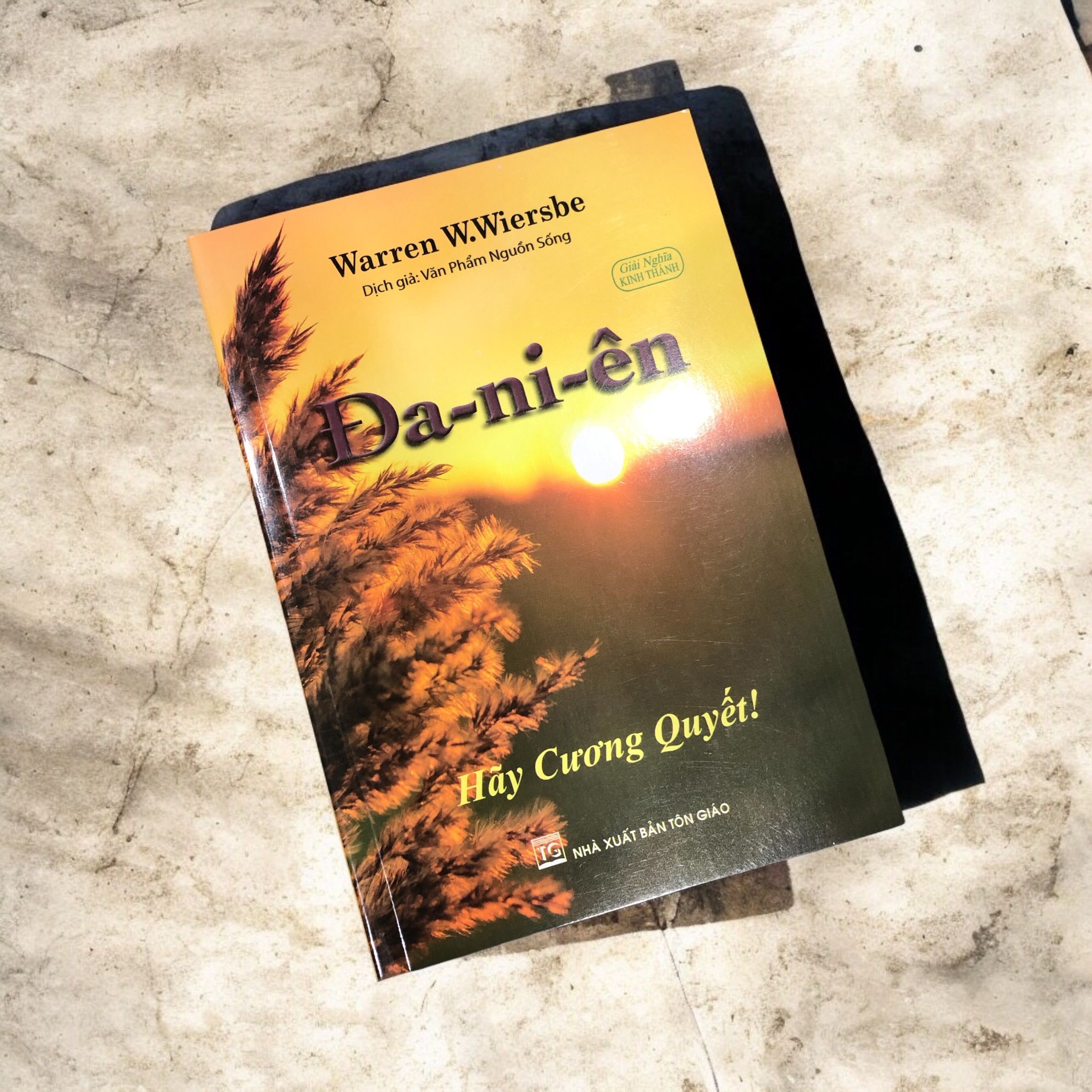 z7197605745173_de95f9b4903a1639a5d40c0423655d1b