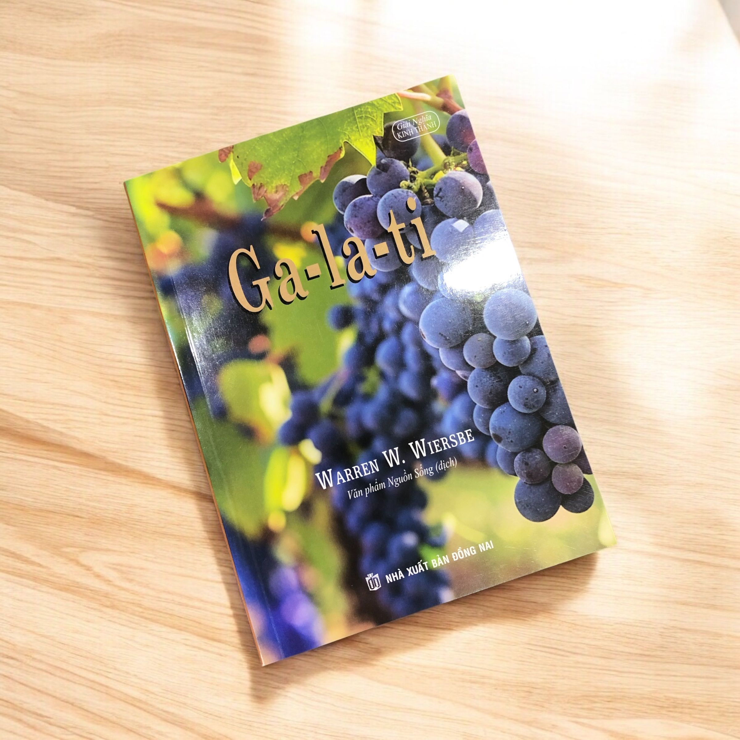 z7197605870944_0f347368a09e5c5801f99e14e5d0076b