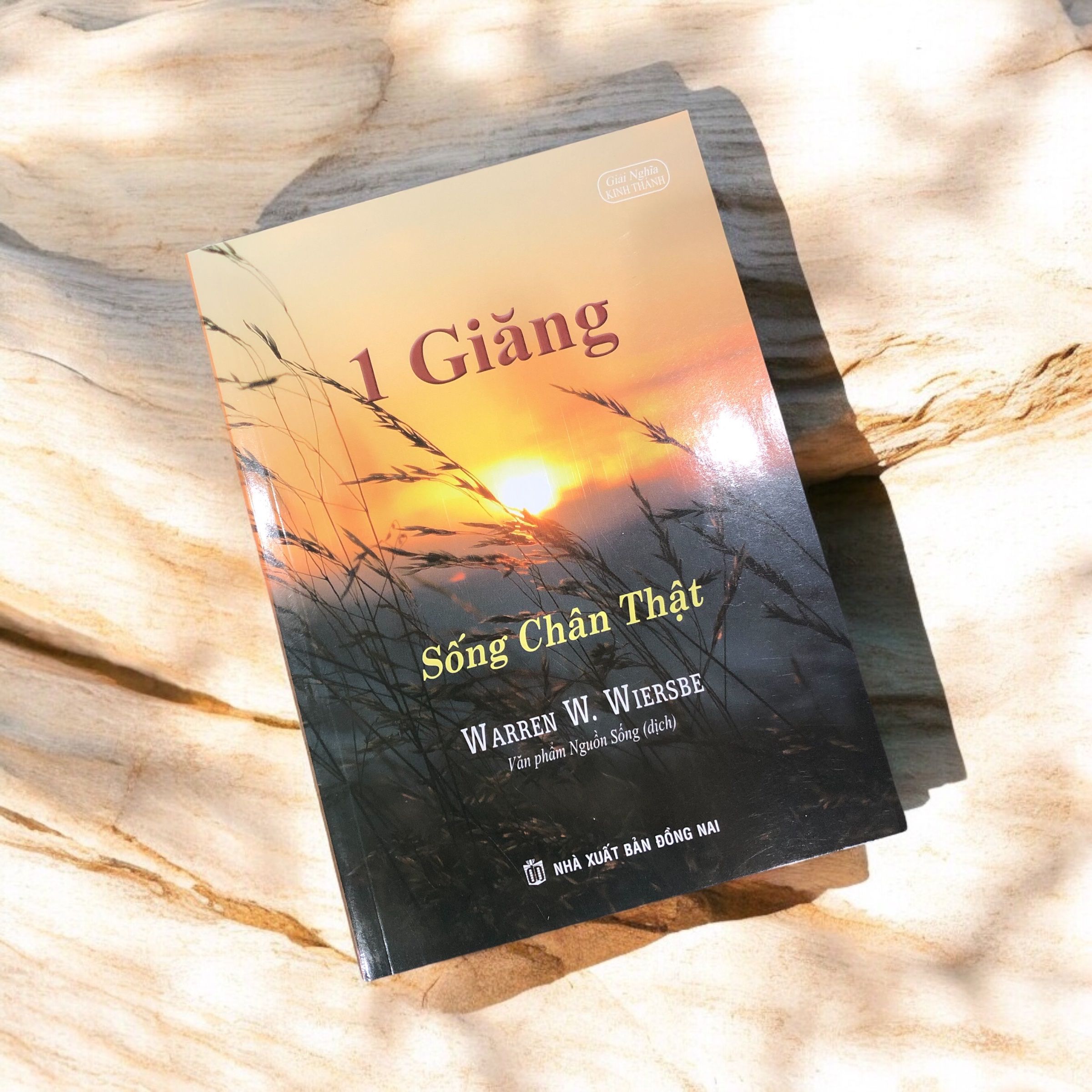 z7197610611015_16d422e58d3f3b4a90effc60c2189317