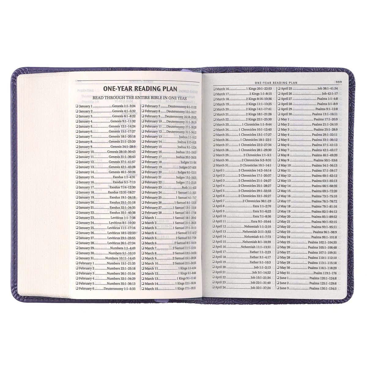1783506342634_2207836363357830073_g3053559494989728890_9d8d6a012a9952ede68f93420b118f29