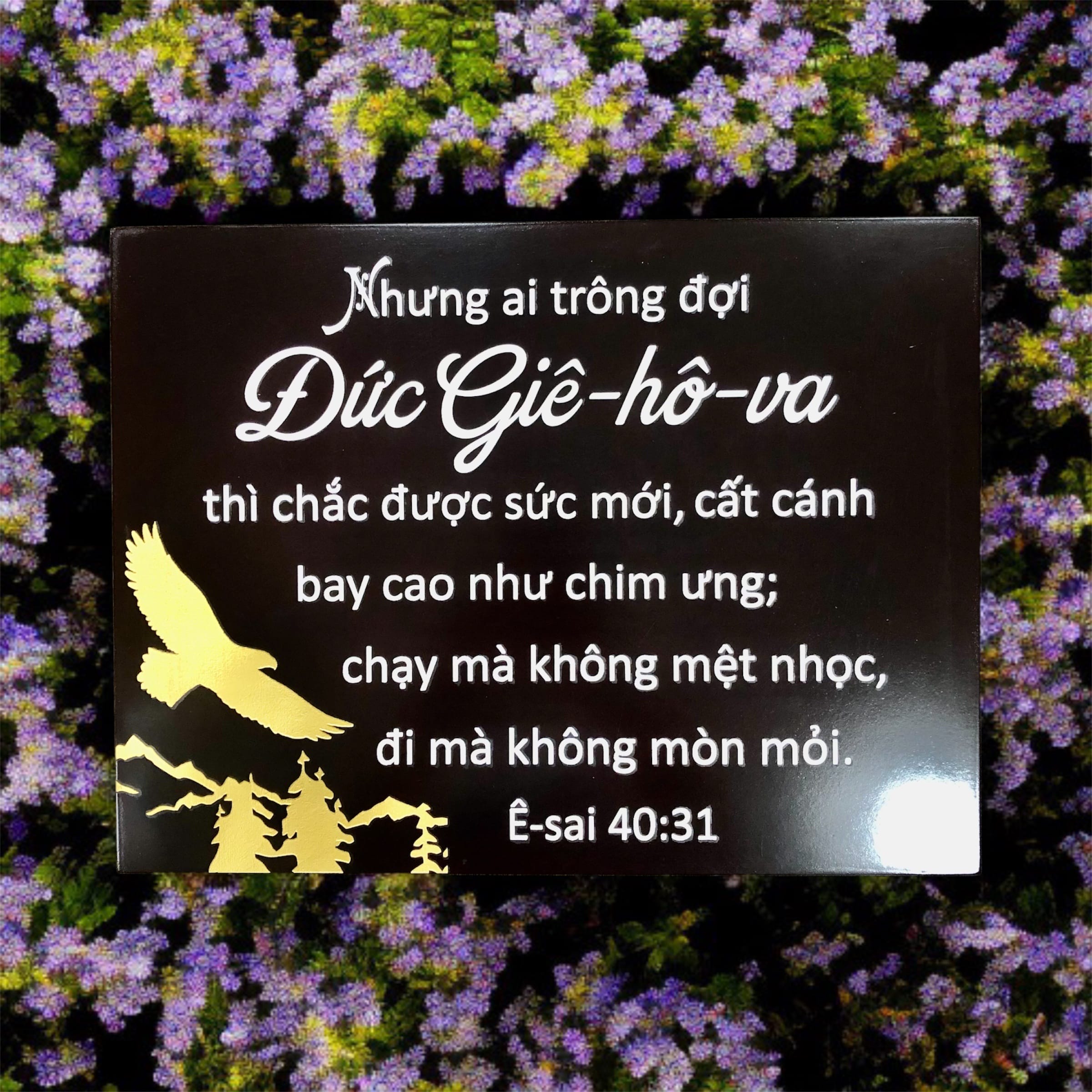 1786616581171_7598185970964110696_7598185970964110696_22fecff1aeb5919fe066676d5e6aceb5